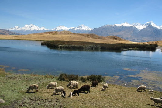 Die Cordillera ist das alpine Gegenstück zur Cordilelra Blanca in Ancash (Peru