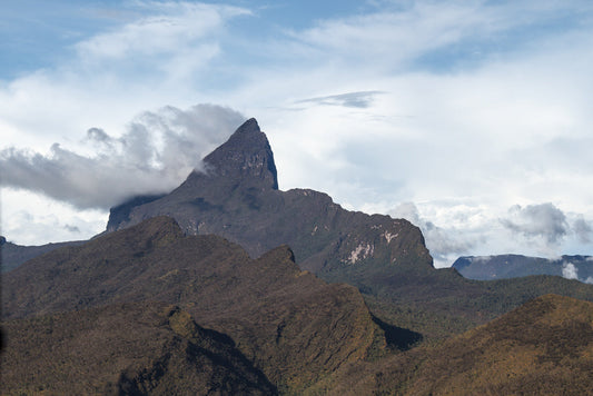 Besteigung Pico de Neblina, Brasiliens höchster Berg
