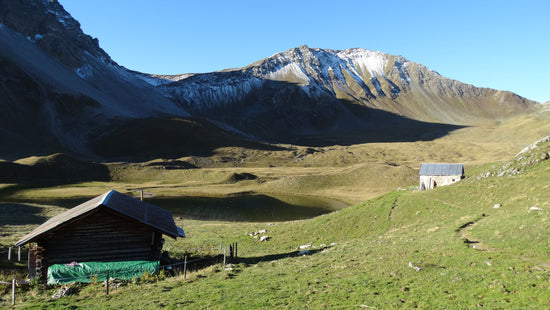 Sandhubel mit Alteinsee