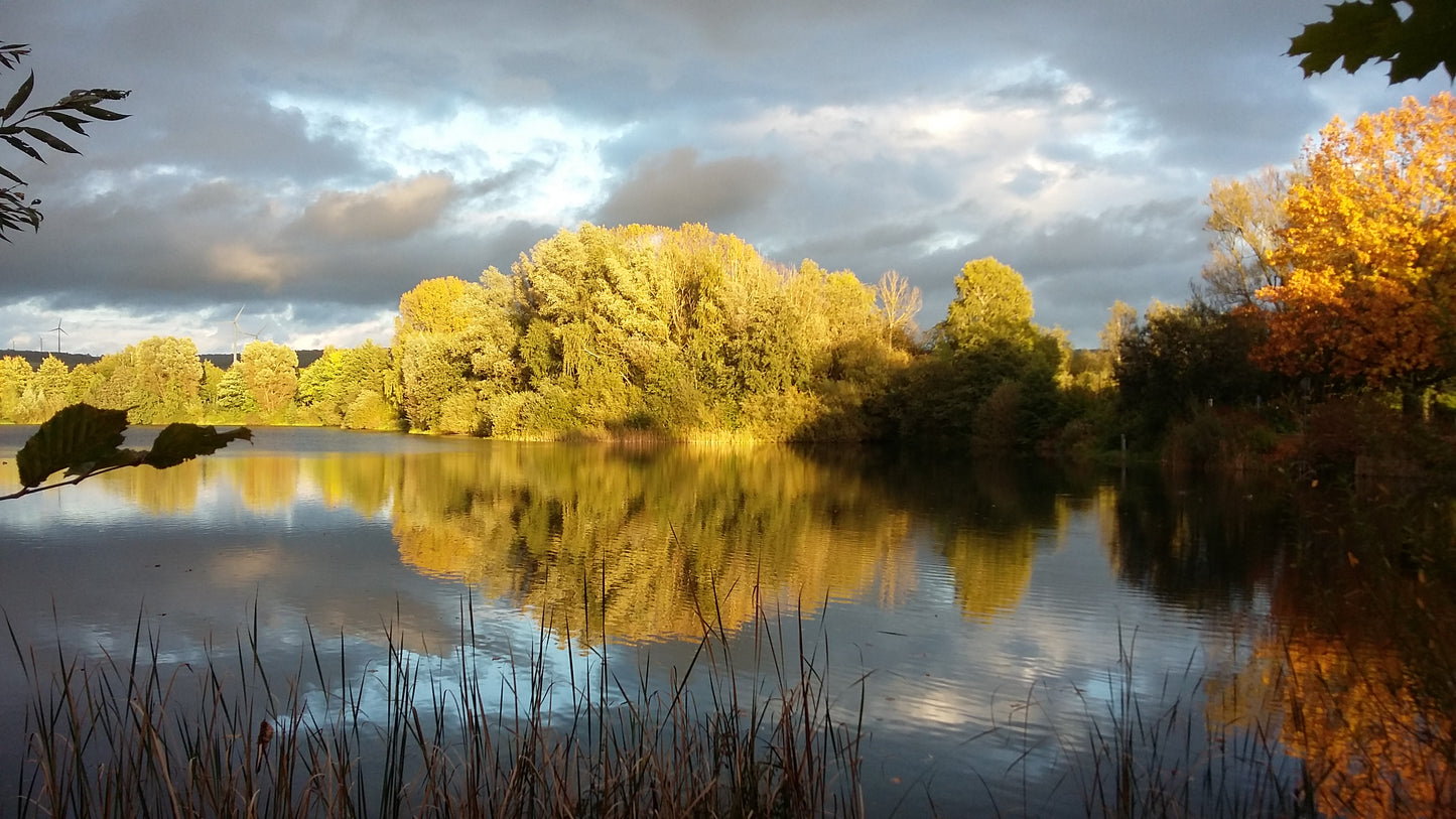Tageswanderungen im Eggegebirge und Teutoburger Wald