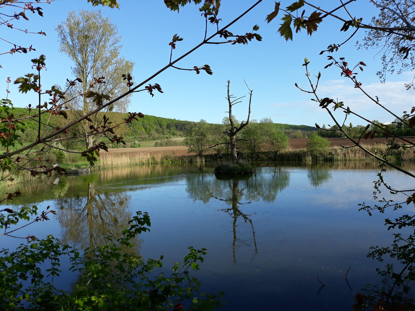 Tageswanderungen im Eggegebirge und Teutoburger Wald