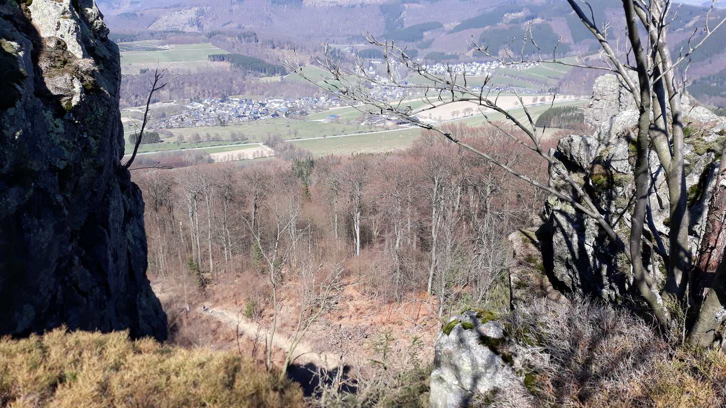 Tageswanderungen im Eggegebirge und Teutoburger Wald
