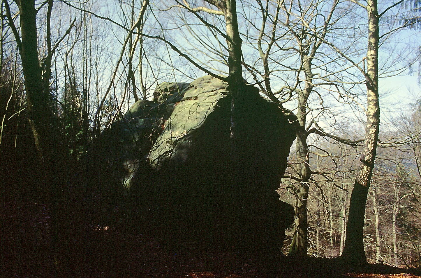 Tageswanderungen im Eggegebirge und Teutoburger Wald