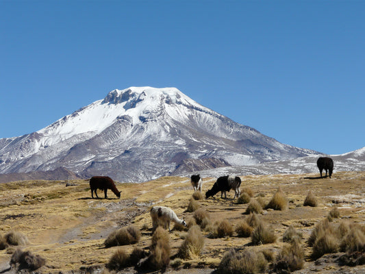 Die Cordillera Occidental in Bolivien: Ein Überblick