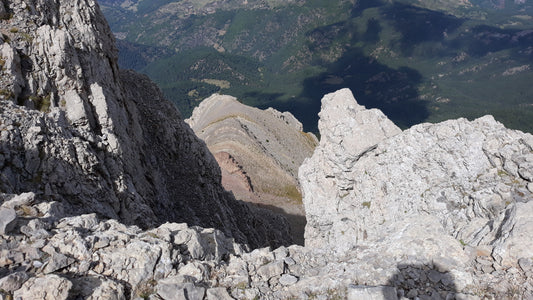 In den Pyrenäen ist der majestätische Bartgeier noch stark verbreitet