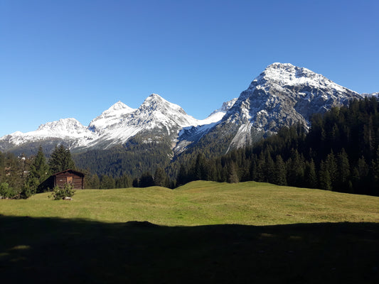 Plessuralpen: Ein Paradies für Geologie-, Vegetations- und Tierweltliebhaber