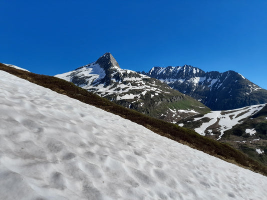 Miineraliensuche mit Besteigung de Piz Cavradi zwischen dem Oberalppass und Sedrun