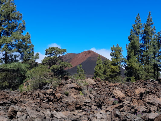 Teneriffa: Ein Paradies für Wanderer