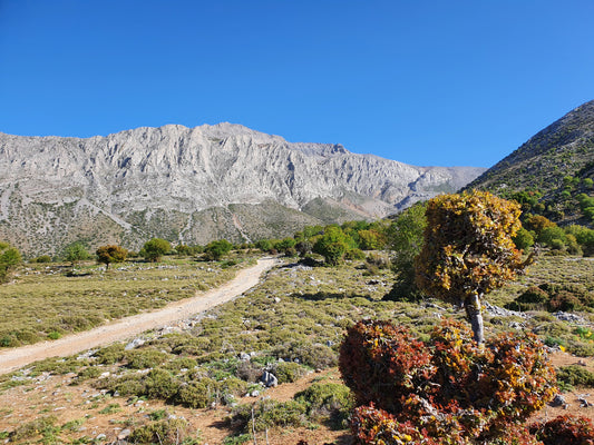 Die Lassithi Hochebene beherbergt einige der schönsten Wanderwege auf Kreta