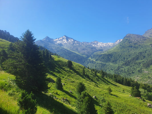 Bald auch über uns buchbar: Wandern, Bergsteigen, Biken und Gleitschirmfliegen um Meribel