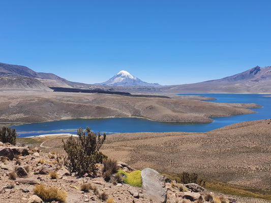 Sajama - Dorf, Nationalpark und der höchste Berg Boliviens