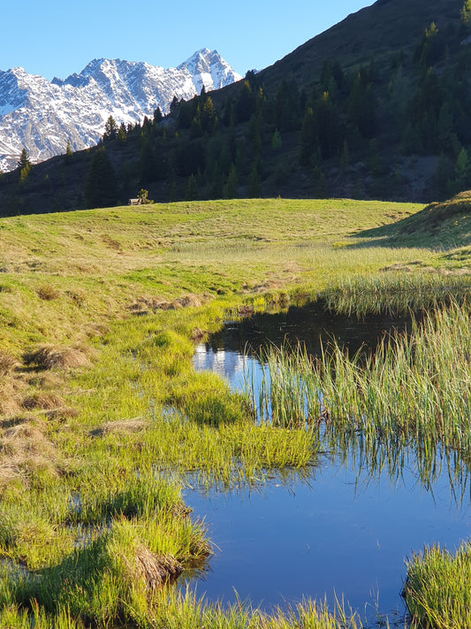 Erzhorn und Arosa Rothorn, die beiden fast 3000er der Plessuralpen