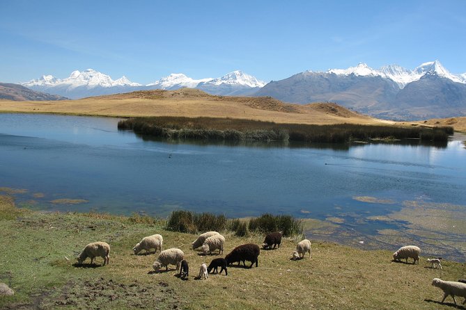 Die Cordillera ist das alpine Gegenstück zur Cordilelra Blanca in Ancash (Peru