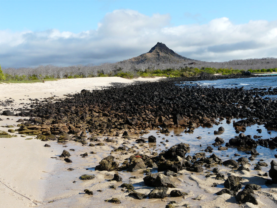 Vulkanwanderungen auf Galapagos bieten ein intensiveres Inselerlebnis als reine Kreuzfahrten