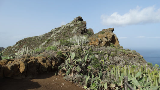 Das Ananga Gebirge ist der grünste Teil teneriffas