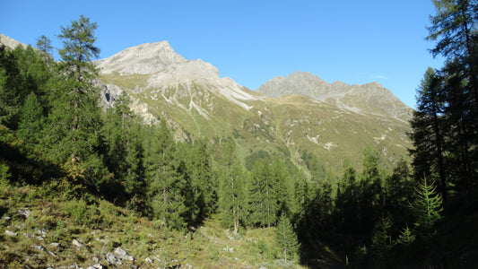 Mineralien suchen in Graubünden und der Schweiz, einige der schönsten Gegenden zum Suchen