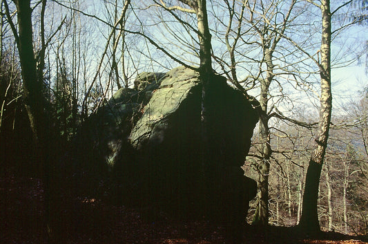 Naturpark Eggegebirge: Flora, Fauna und Wanderwege