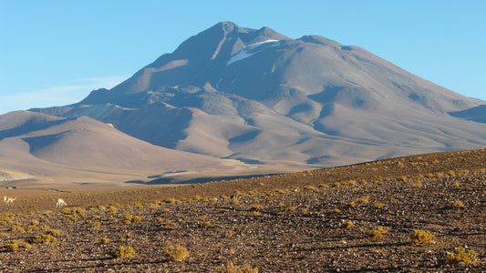 Bergsteigen und Erkungstouren durchführen in den vulkanischen Gebirgen um Salta und Sana Antonio de las Cobres