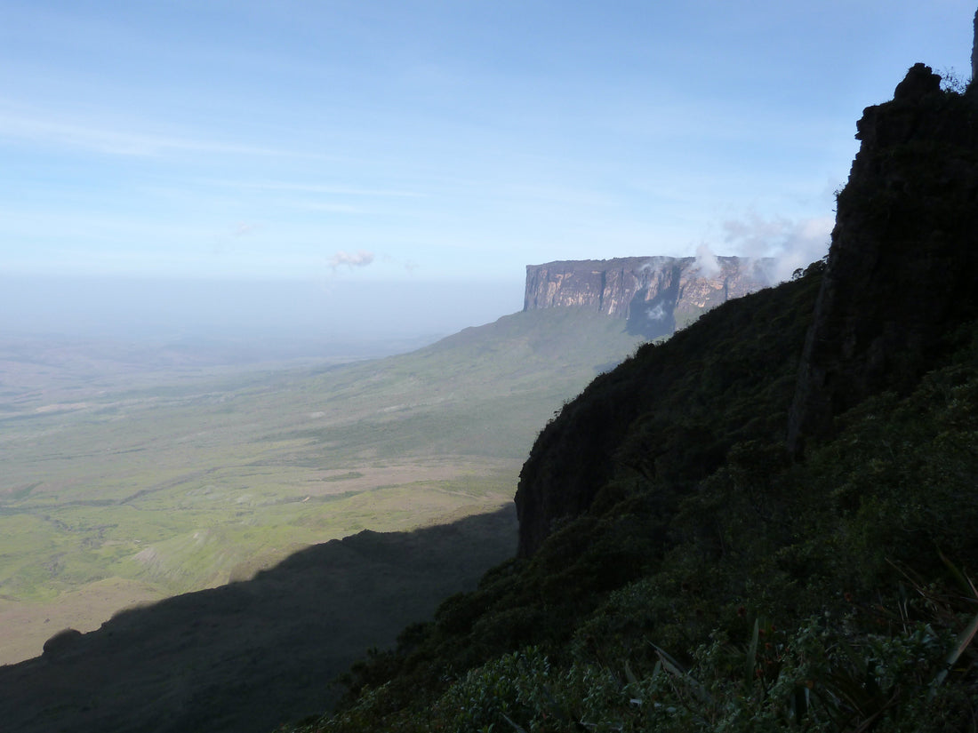 Die Besteigung der Tafelberge in Brasilien und Venezuela