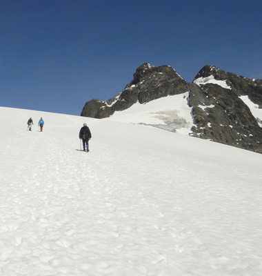 Afrikas am stärksten vergletscherter 5000er, der Ruwenzori - ein Gebirge im kleinen