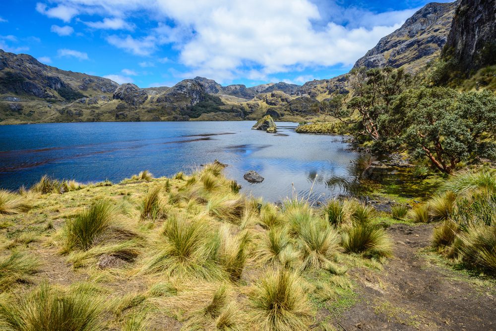 Wandern im Cajas Nationalpark bei Cuenca im Süden von Ecuador
