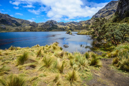 Wandern im Cajas Nationalpark bei Cuenca im Süden von Ecuador