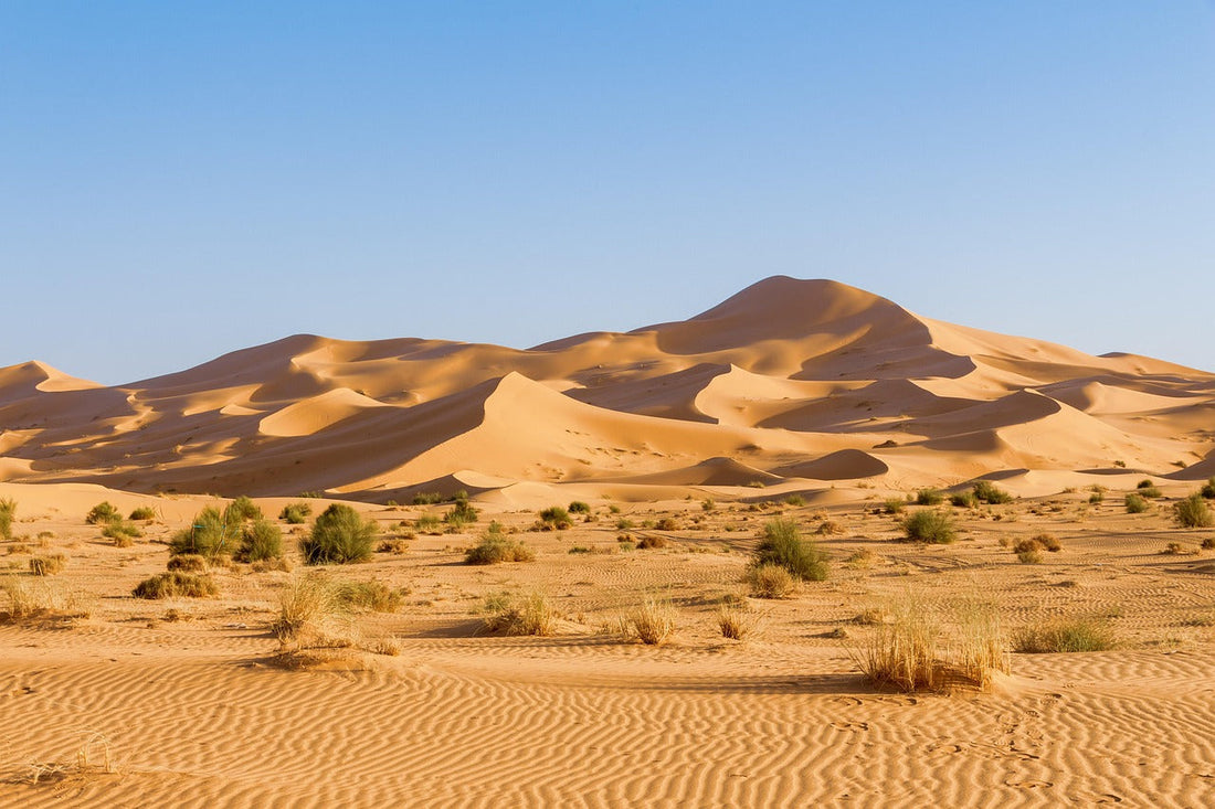 Die Sahara, eines der Highlights von Afrika und Marrokko und die grösste Sandwüste der Welt