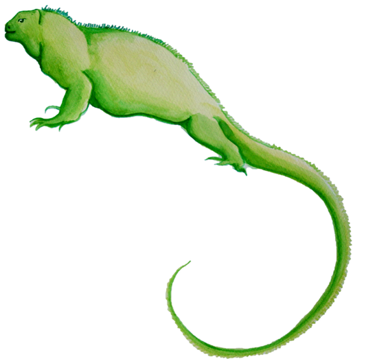 T-Shirt Leguan